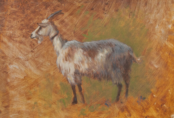 Unbekannt - Ölstudie einer Ziege - Ende 19. Jhd. - Ölmalerei