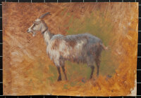 Unbekannt - Ölstudie einer Ziege - Ende 19. Jhd. -...