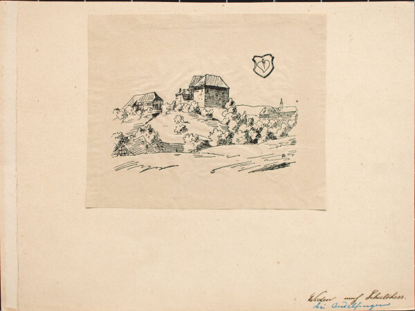 Unbekannt - Burg Wyden - 19. Jhd. - Stich