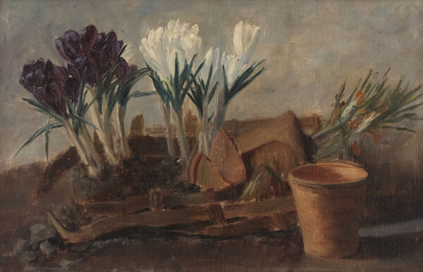 Unbekannt - Stillleben mit Krokussen - Frühes 20. Jhd. - Ölmalerei