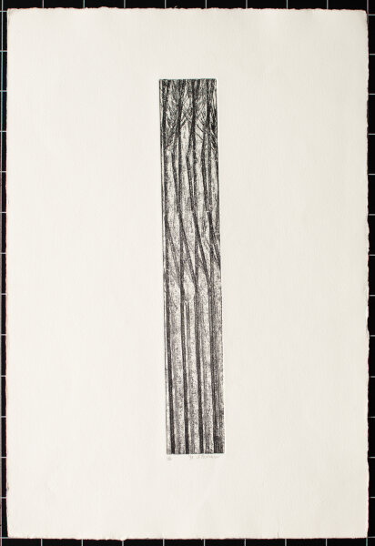Sophia Pechau - Getreideähren - Radierung - 1991