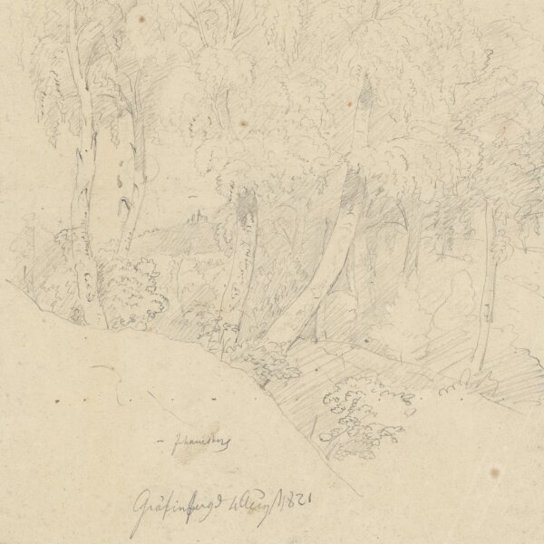 Unbekannt - Johannisberg - Bleistift - 1821