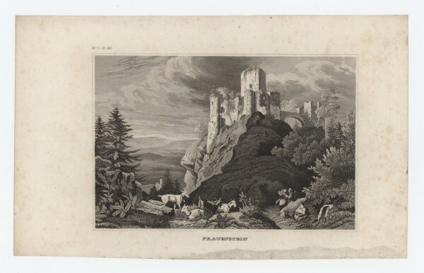 unbekannt - Fraunstein - Stahlstich - um 1850
