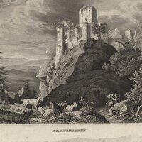 unbekannt - Fraunstein - Stahlstich - um 1850
