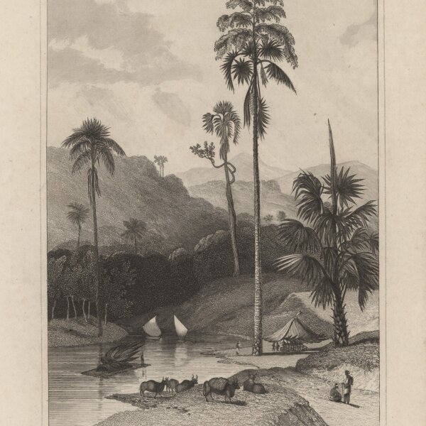 Bibliographisches Institut in Hildburghausen - Bey Colombo Insel Ceylon - Stahlstich - um 1850