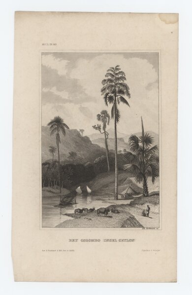 Bibliographisches Institut in Hildburghausen - Bey Colombo Insel Ceylon - Stahlstich - um 1850