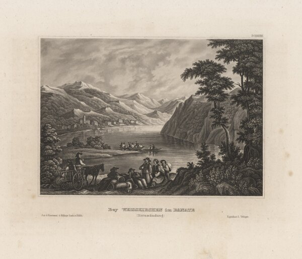 Bibliographisches Institut (Hildburghausen) - Bey Weisskirchen im Banate (Neramündung) - Stahlstich - um 1850