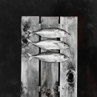 Harald Lubasch - Drei Stachelmakrelen aus der Serie Fisch...