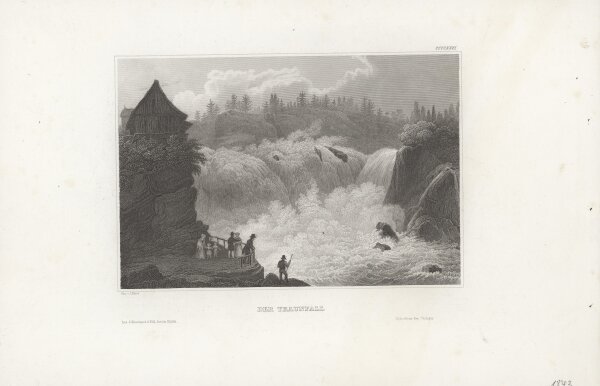 Carl Reiss - Der Traunfall - Stahlstich - 1. Hälfte 19. Jhd.