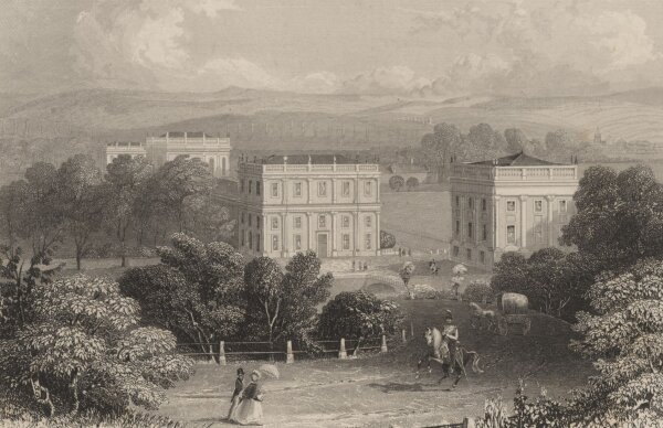 Albert Henry Payne - Schloss Orangerie - Stahlstich - um 1850