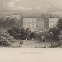Albert Henry Payne - Schloss Orangerie - Stahlstich - um...