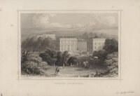 Albert Henry Payne - Schloss Orangerie - Stahlstich - um...