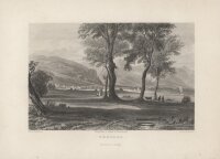 W. Adams - Bregenz - Stahlstich - 1. Hälfte 19. Jhd.