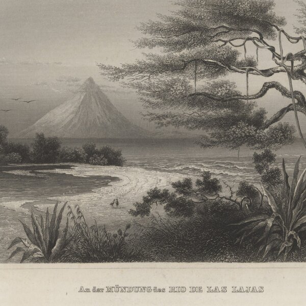 Bibliographisches Institut in Hildburghausen - Mündung des Rio de Las Lajas - Stahlstich - um 1855