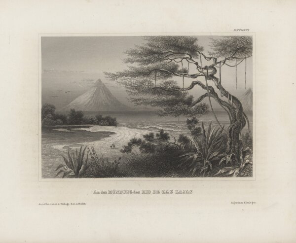 Bibliographisches Institut in Hildburghausen - Mündung des Rio de Las Lajas - Stahlstich - um 1855