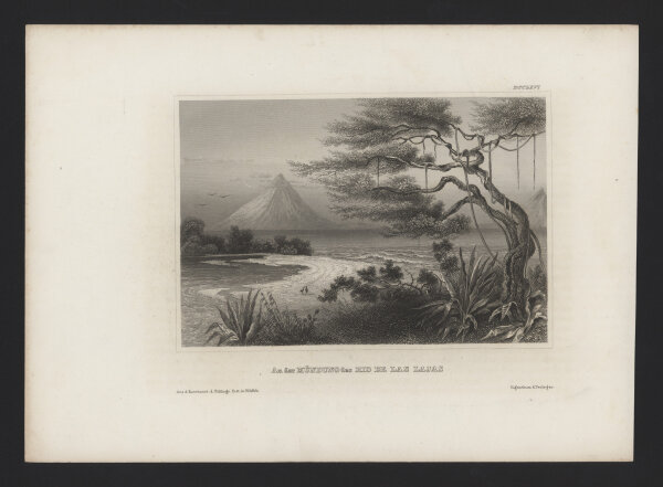 Bibliographisches Institut in Hildburghausen - Mündung des Rio de Las Lajas - Stahlstich - um 1855