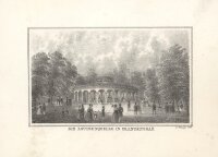 G. Waage - Die Louisenquelle in Franzensbad -...