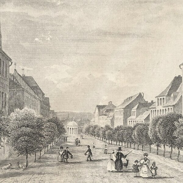 Unbekannt - Die Kaiserstrasse in Franzensbrunn - Stahlstich - Erste Hälfte 19. Jhd.
