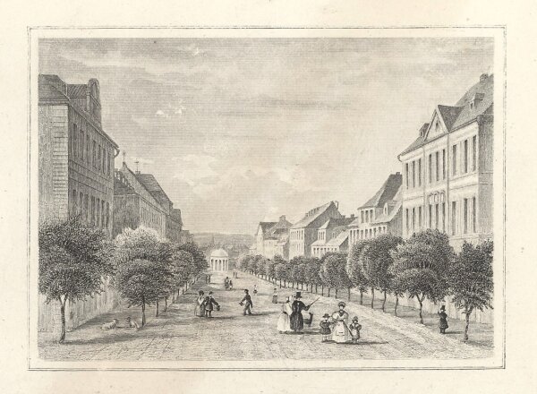 Unbekannt - Die Kaiserstrasse in Franzensbrunn - Stahlstich - Erste Hälfte 19. Jhd.